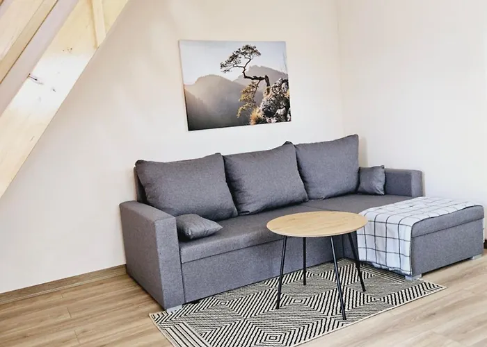 Apartament Pod Laskiem